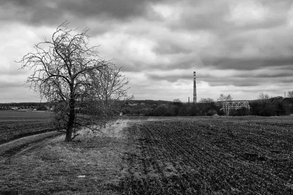 Take me home country roads