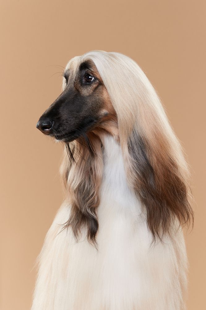 Photograph by Лана Полякова