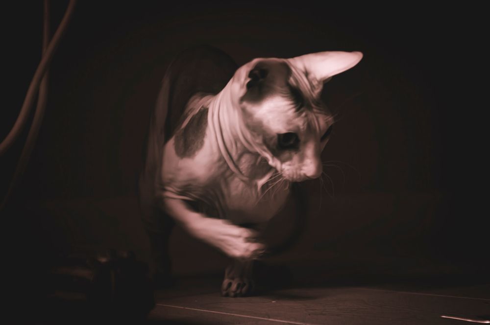 Photograph by Вячеслав Смеликов