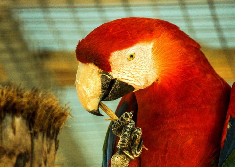 Photograph by ANKUSH CHOWDHURY