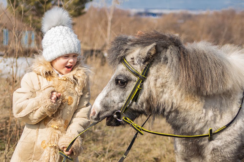 Photograph by Ирина Ладо