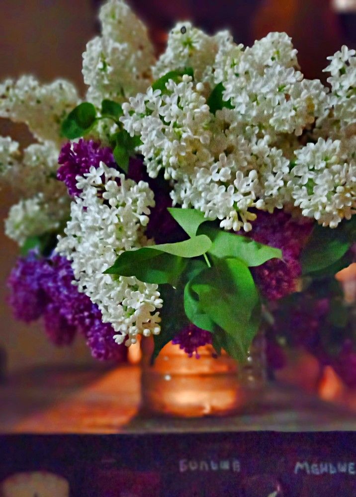 Photograph by Ольга Шевцова