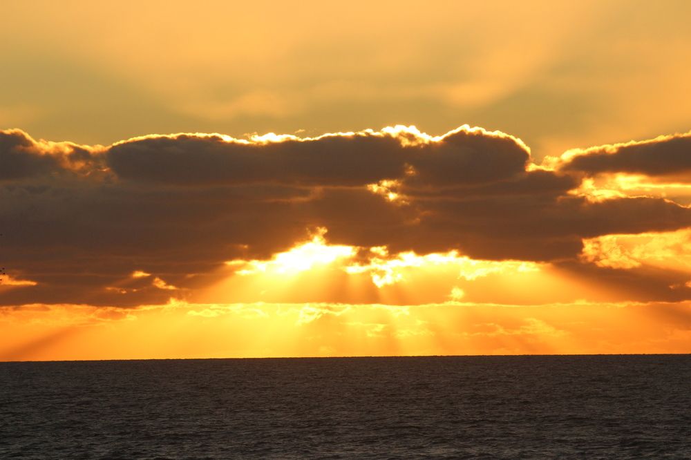 Photograph by Sharad vadoliya