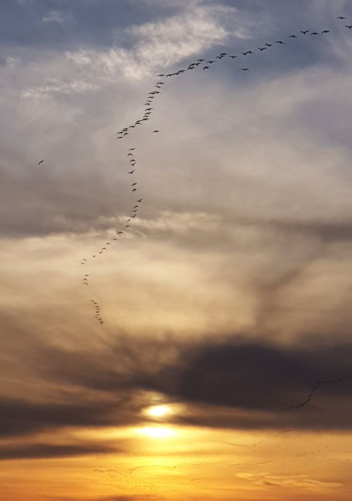 Photograph by Геннадий Зайцев