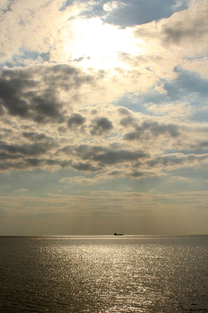 Photograph by Алина Безбородова