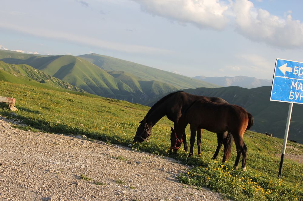 Photograph by Хасаймирза Хасаймирзаев
