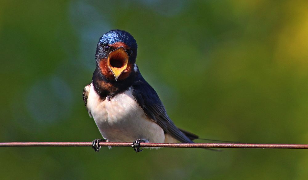 Photograph by Galina Tsmyg