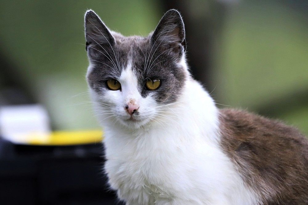 Photograph by Андрей Телибаев