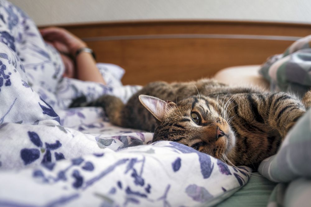 Photograph by Vyacheslav Biryukov