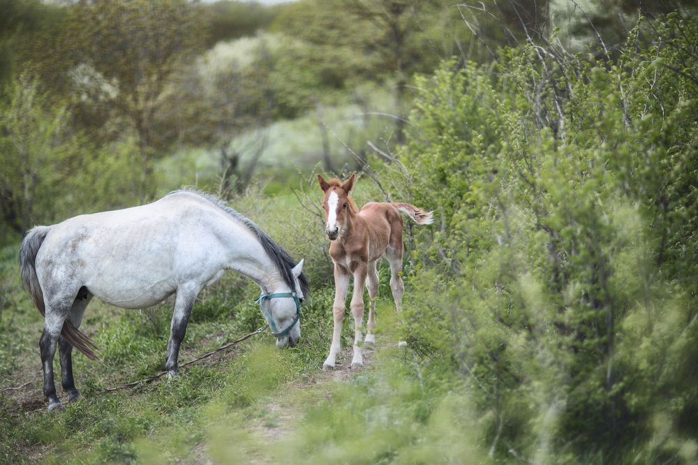 Photograph by Анатолий Климов
