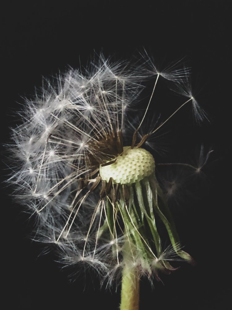 Photograph by Алена Жирова