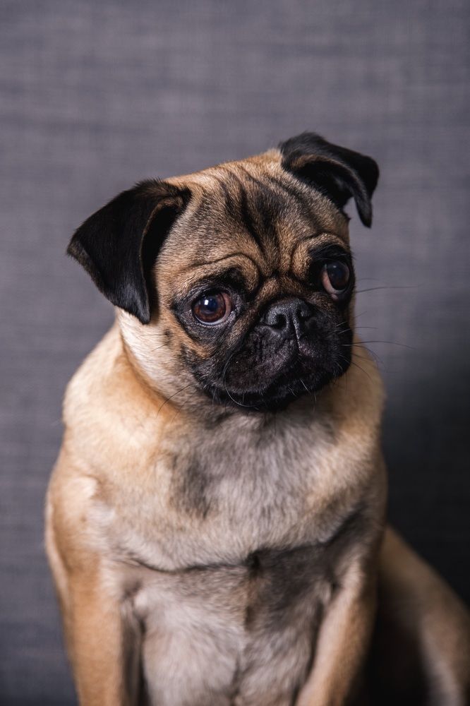 Photograph by Olga Nebelskaya