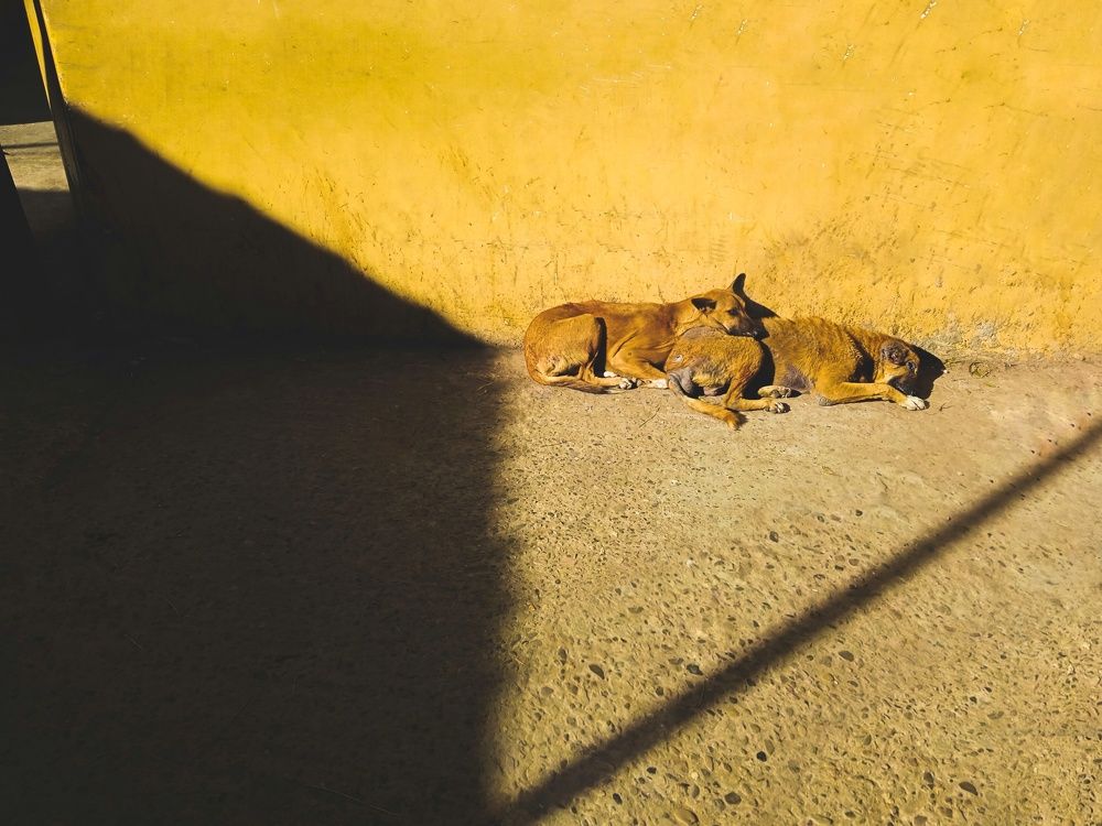 Photograph by Hasan Mehedi Amin