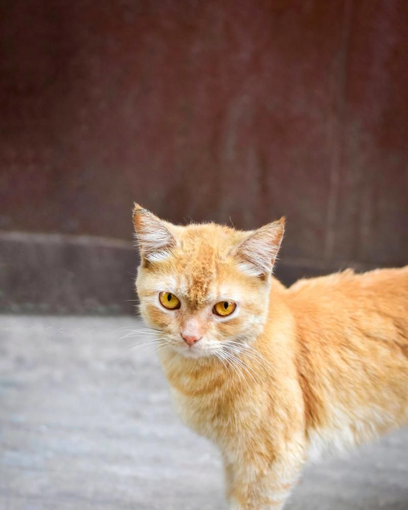 Photograph by Hasan Mehedi Amin