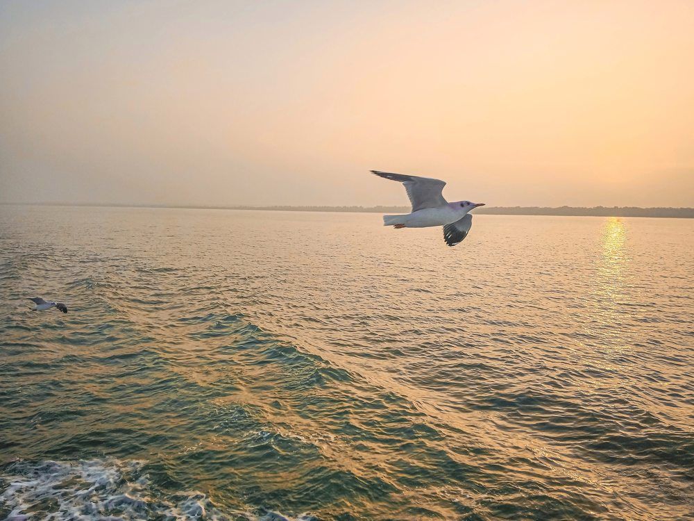 Photograph by Hasan Mehedi Amin