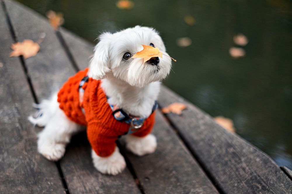 Photograph by Евгения Тузова