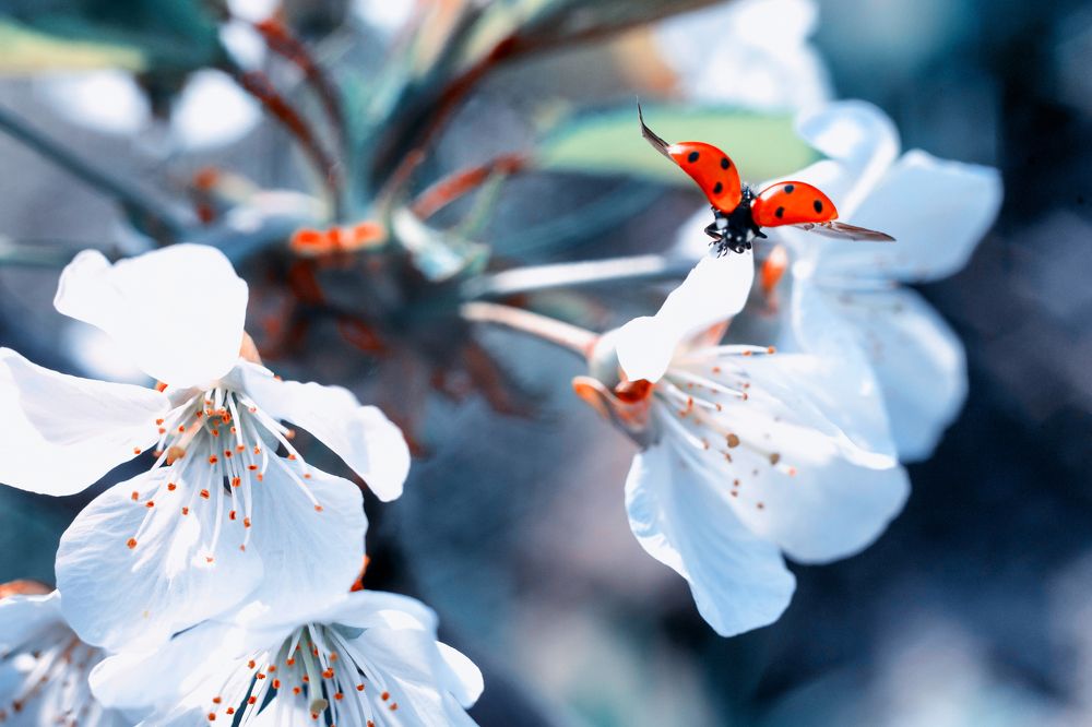 Фотография автора Александра Липницкая