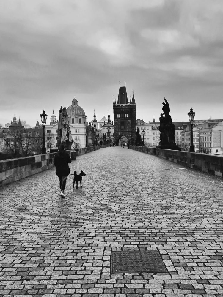 Most Praha-Karlův most