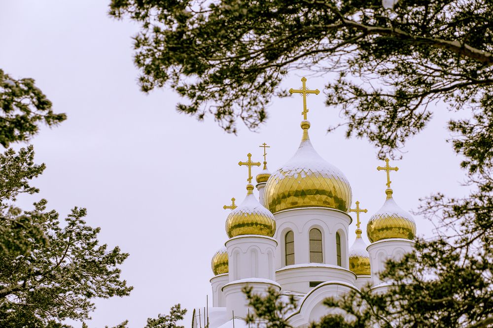 Фотография автора Оркина Ксения