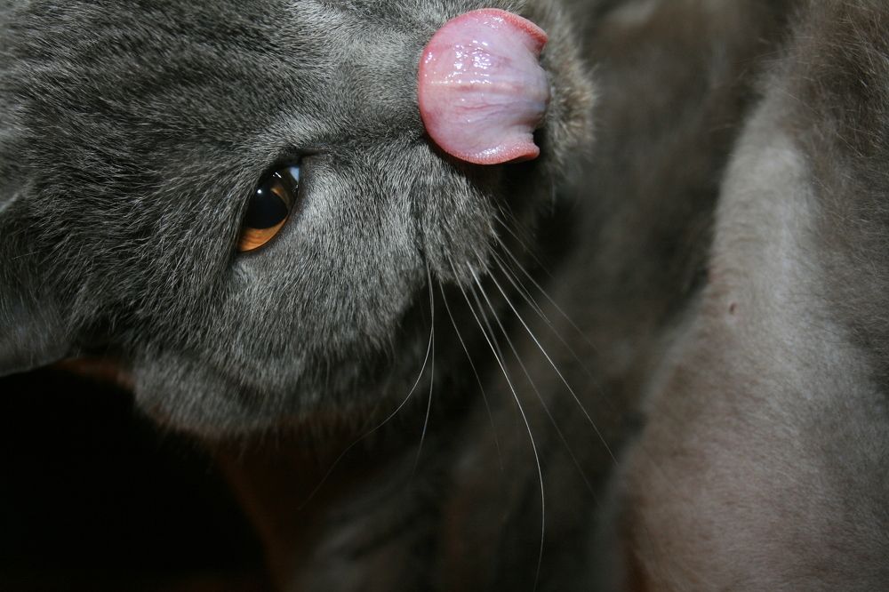 Photograph by Валентина Каширцева