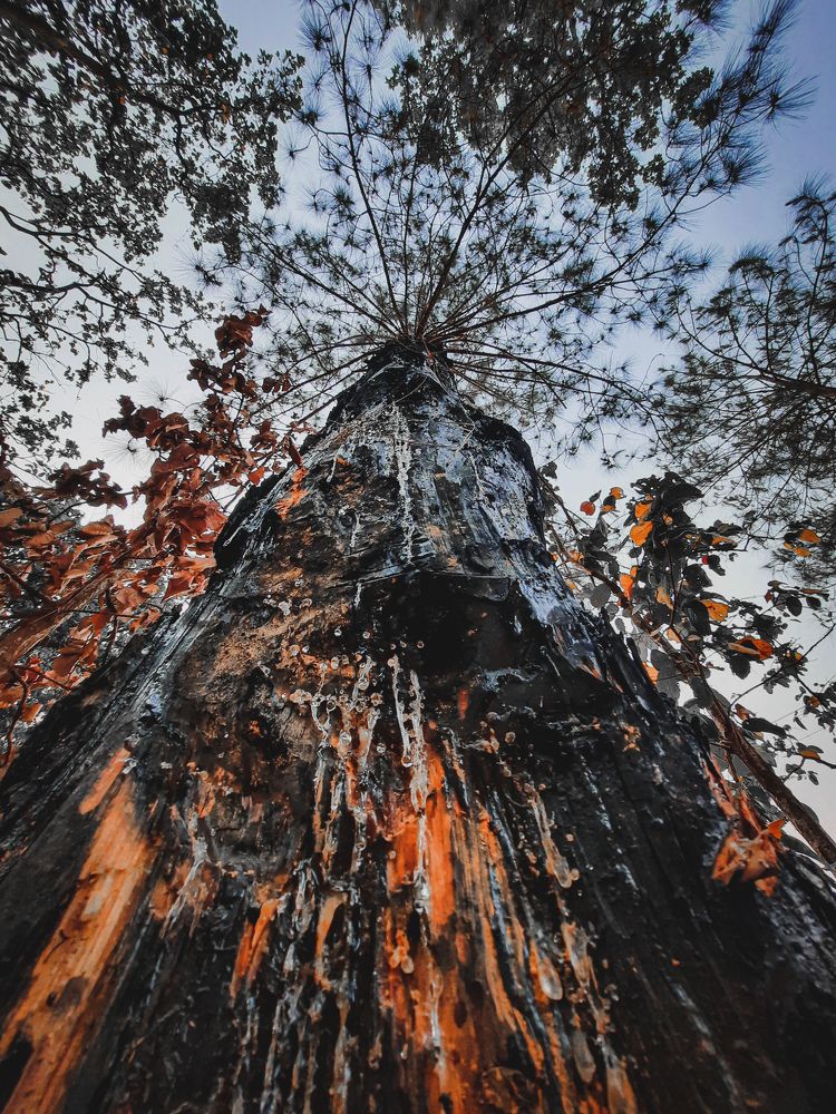 Photograph by Praveen Khatri