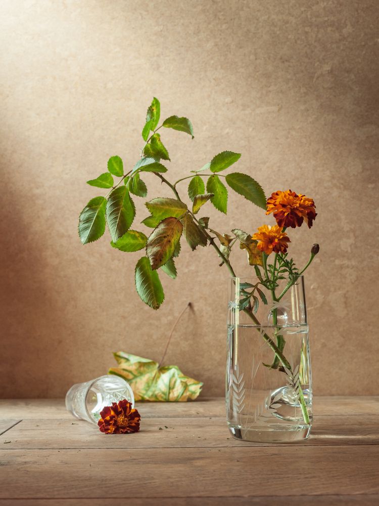 Photograph by Татьяна Макотра