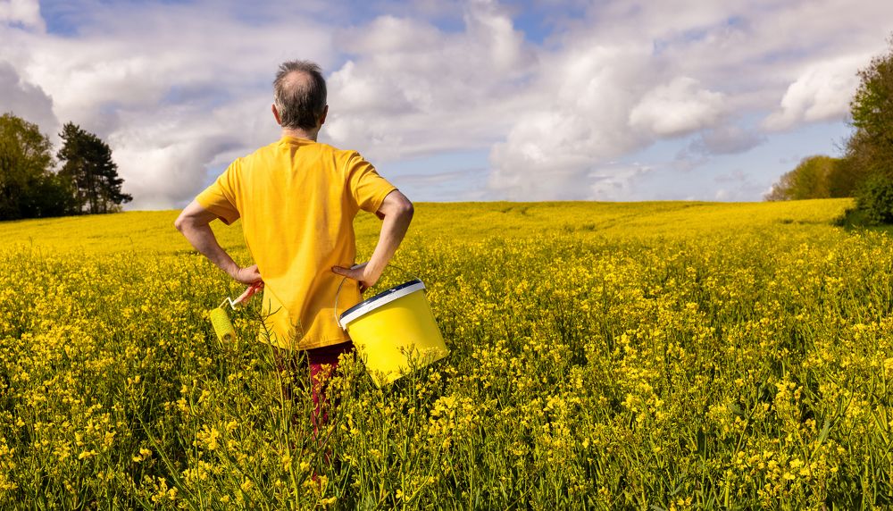 Photograph by Franky De Meyer