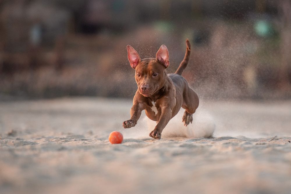 Photograph by Виола Поликарпова