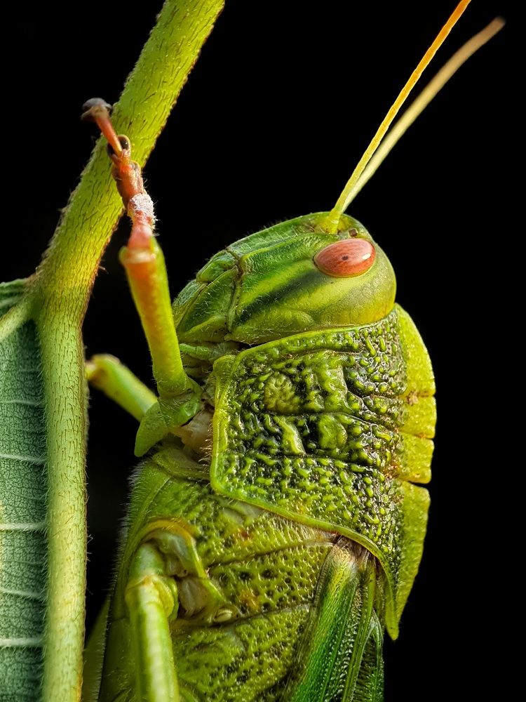 Photograph by sunil kumbar