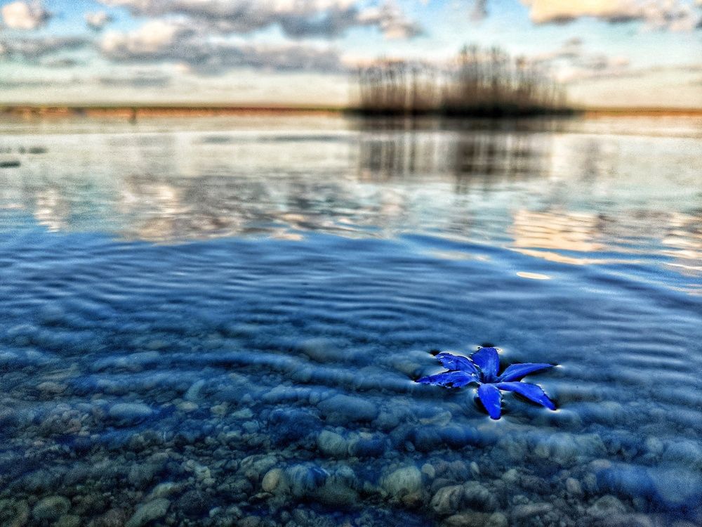 Photograph by Юлия Федорова