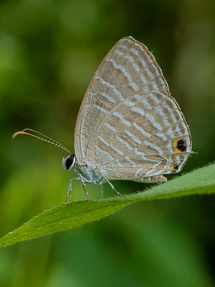 Photograph by sunil kumbar