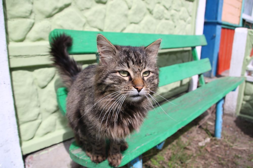 Photograph by Marina Vasilyeva