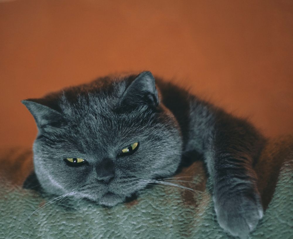 Photograph by Евгений Белов