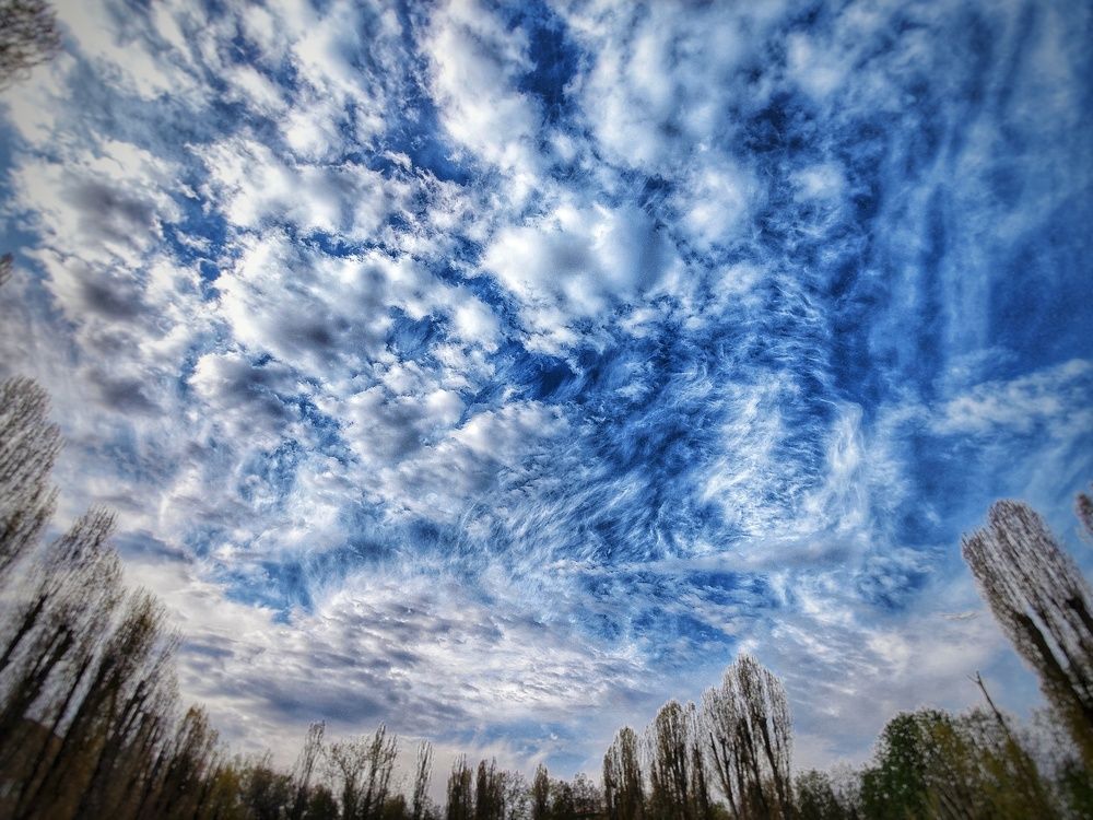 Photograph by Юлия Федорова