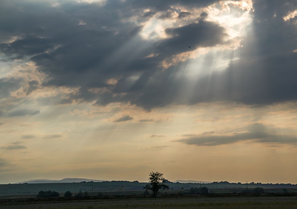 Photograph by Бабитко Юлия