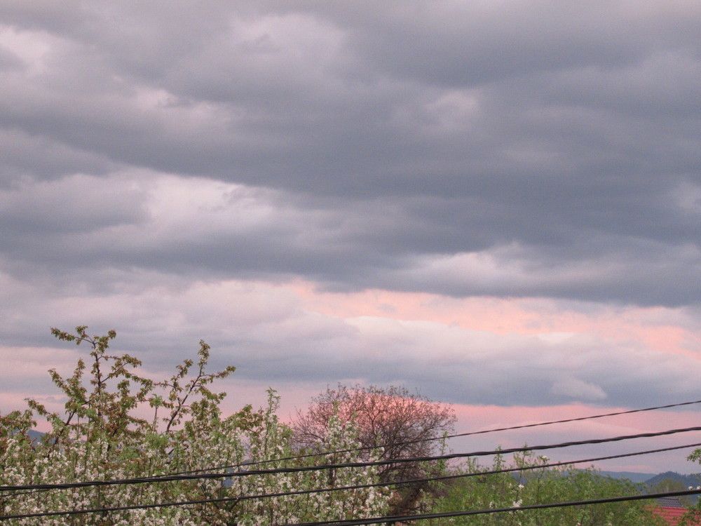 Photograph by Nermina Selmanovic