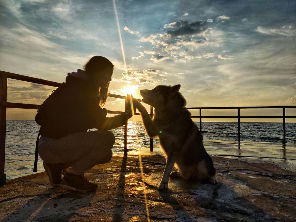 Photograph by Юлия Федорова