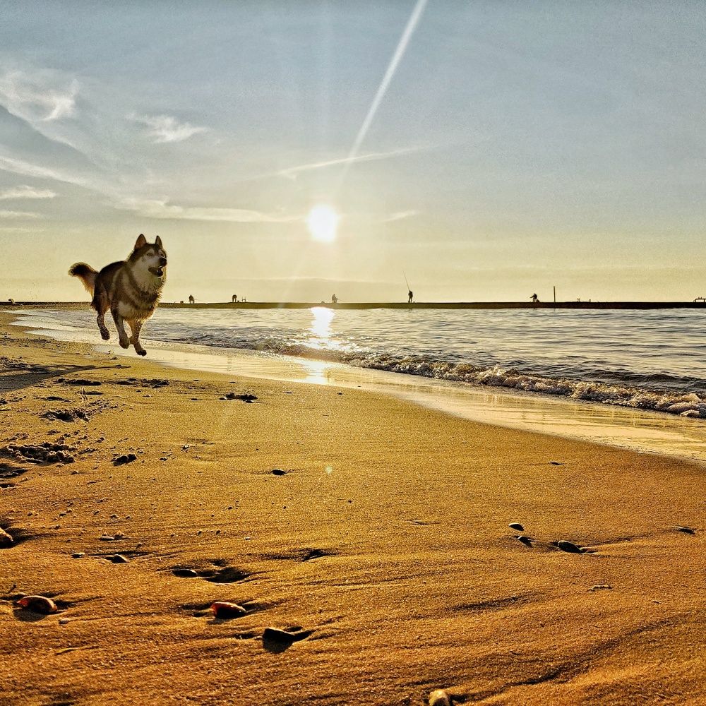 Photograph by Юлия Федорова