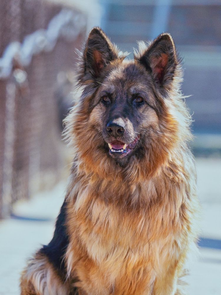 Photograph by Сергей Кадыров