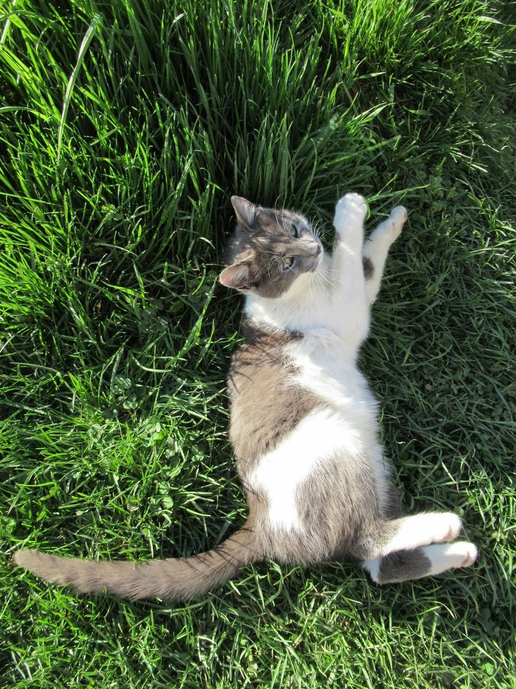 Photograph by Nermina Selmanovic