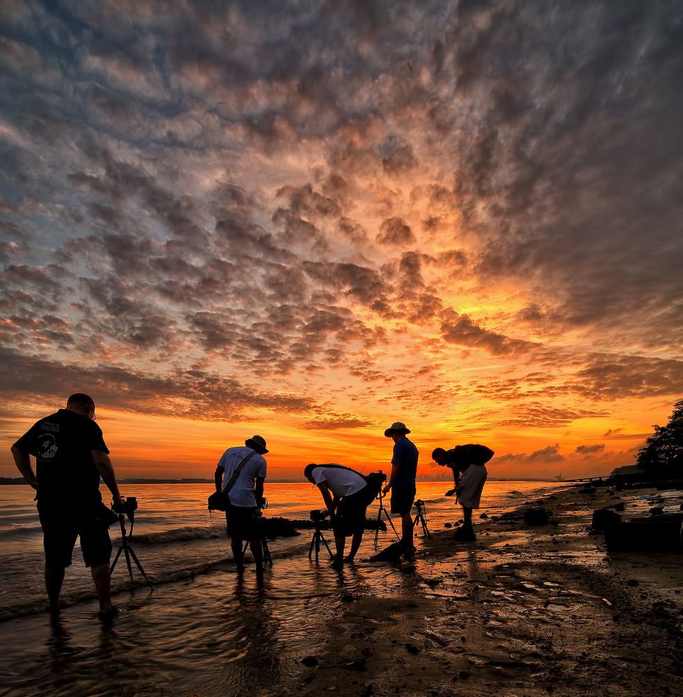 Photograph by PARTHA ROY