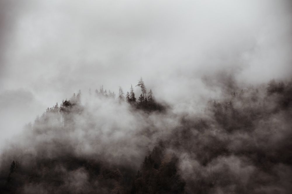 Photograph by Olga Gantman