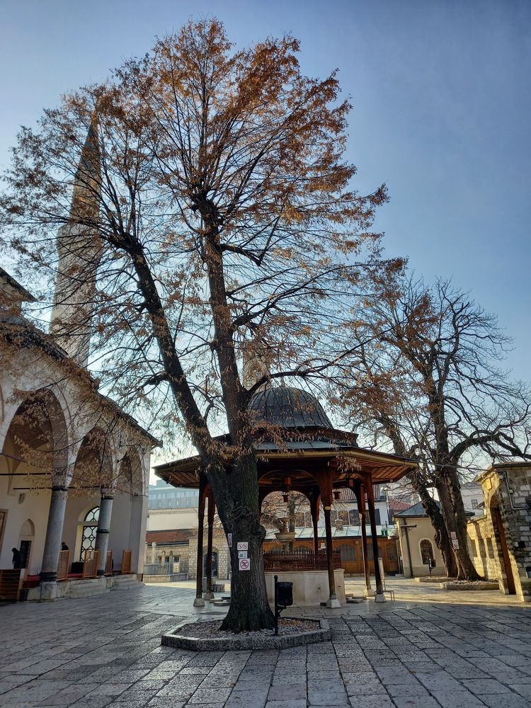 Photograph by Nermina Selmanovic