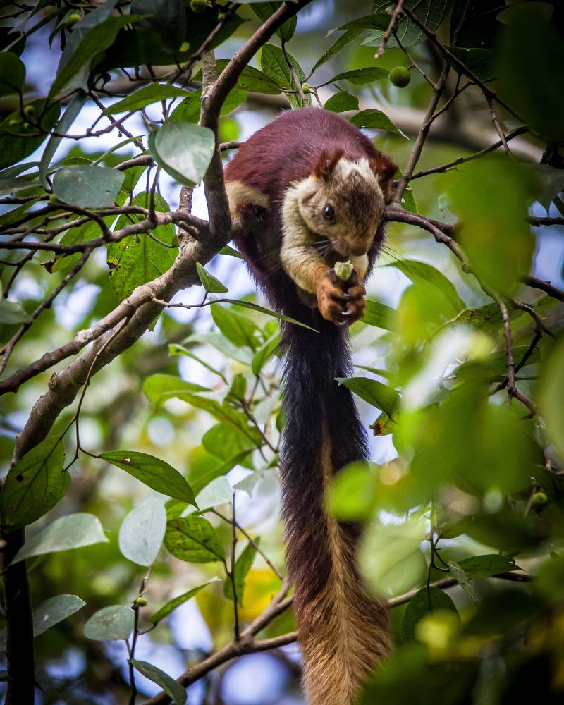 Photograph by Aravind Shetty