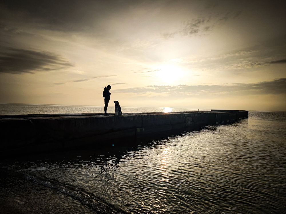 Photo #6088851