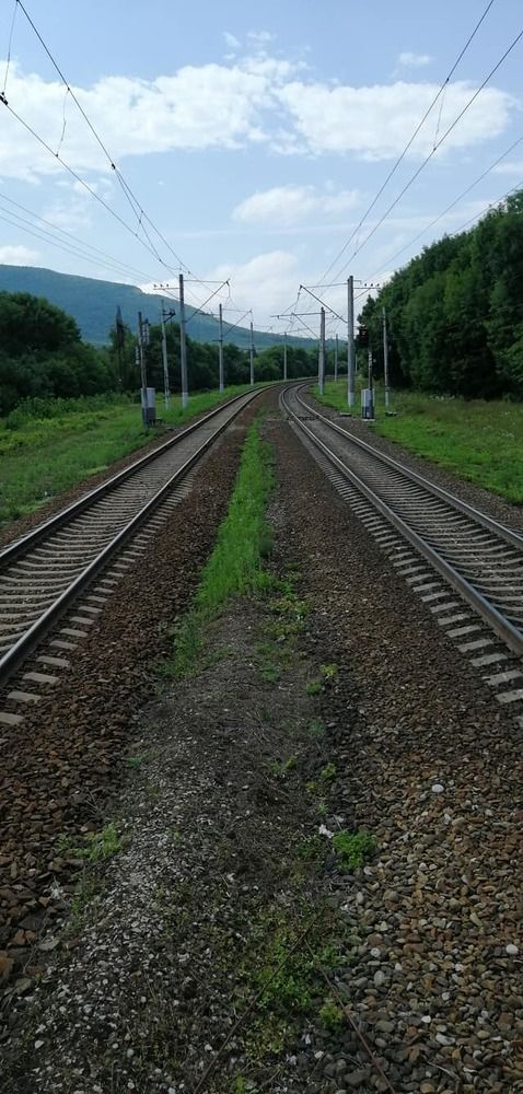 Photograph by Мила