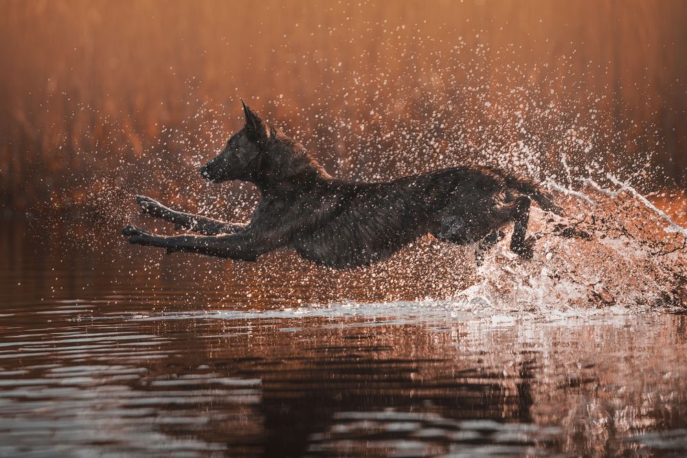 Photograph by Alona Landsman