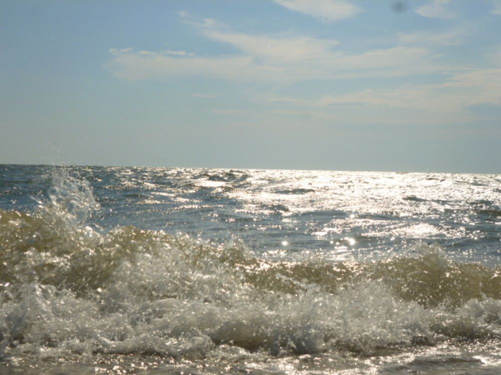 Photograph by Мила