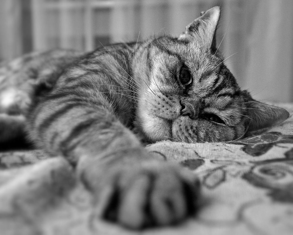 Photograph by Вячеслав