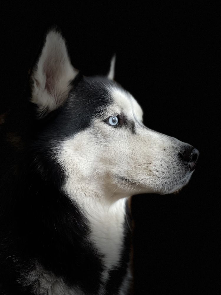 Photograph by Дмитрий Трефилов